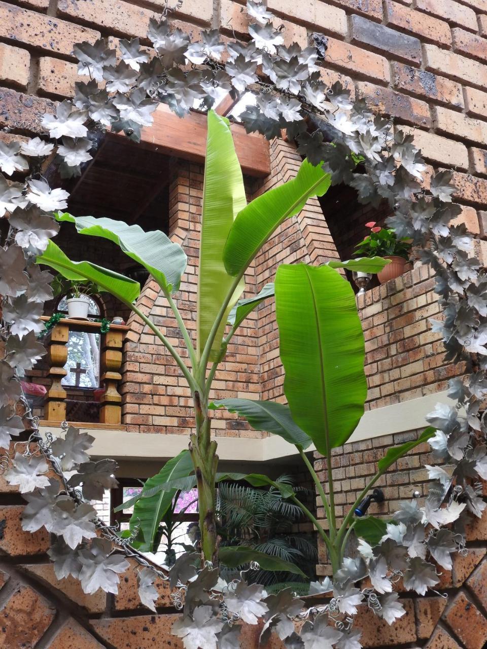 Mossel Bay Guest House Buitenkant foto