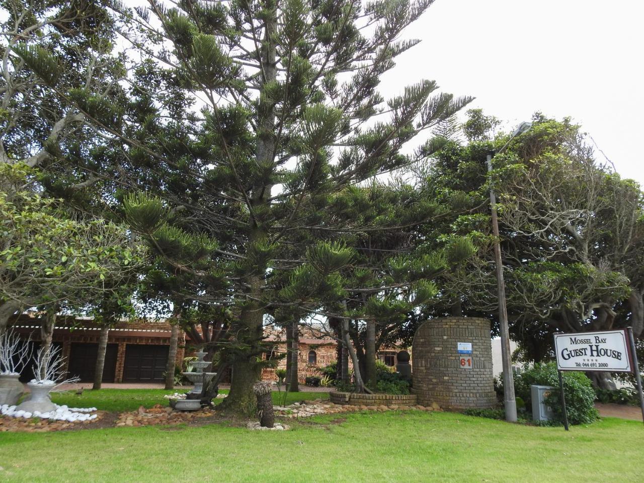 Mossel Bay Guest House Buitenkant foto